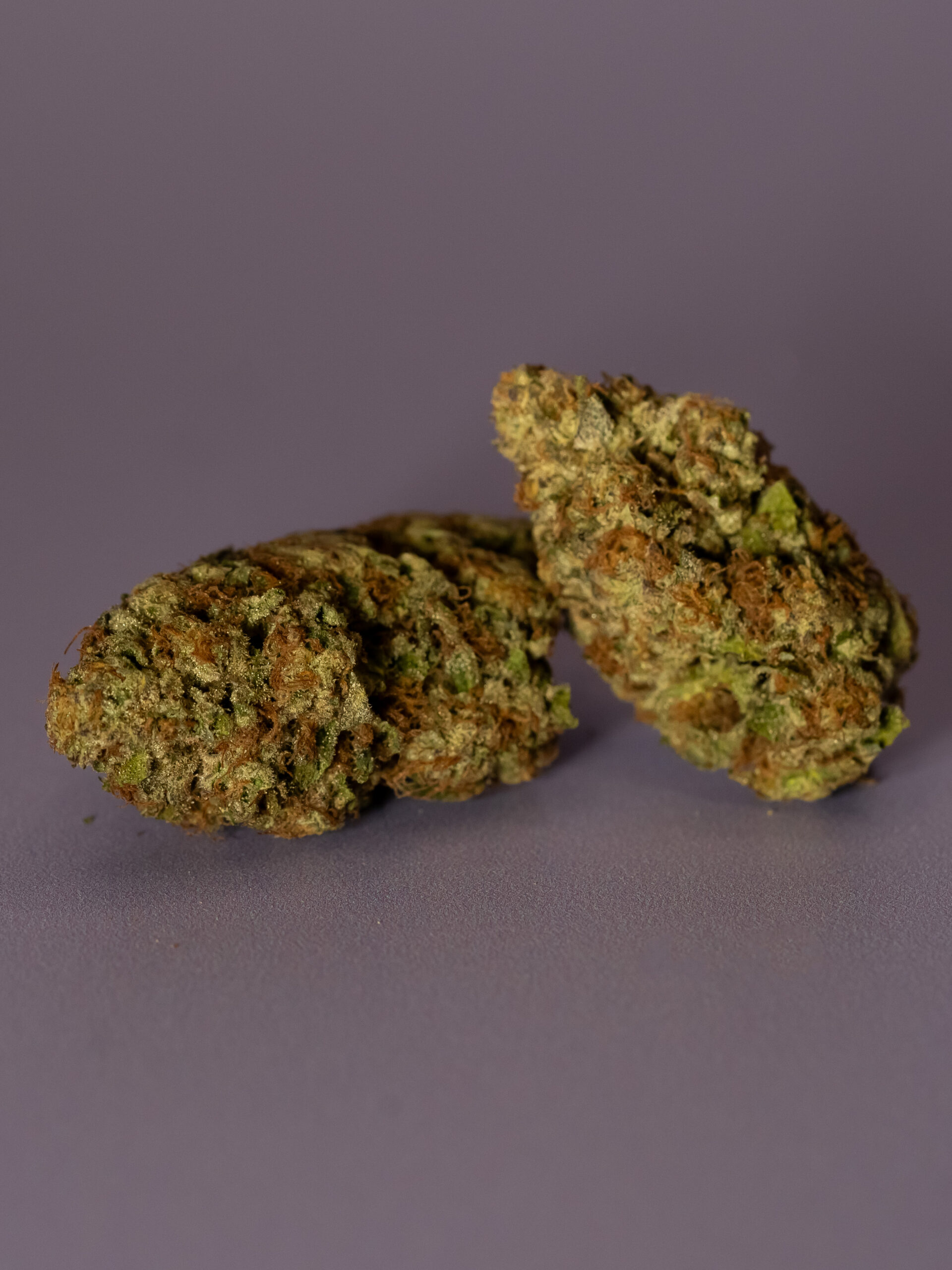 THCa Flower | Purple Punch | 32.52% | Indica-Hybrid