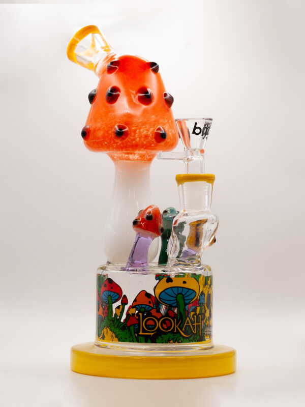 weed bong, cute weed bong, where to buy bongs, cute bongs, mushroom bong, bong for smoking weed, where can i buy bongs online, buy a bong, water pipe, mini bong, Lookah, unique bongs, artsy bong, creative glass pieces